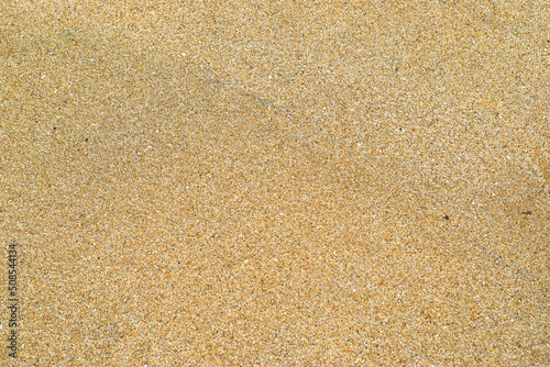 Background with close-up photo of fine beach sand texture