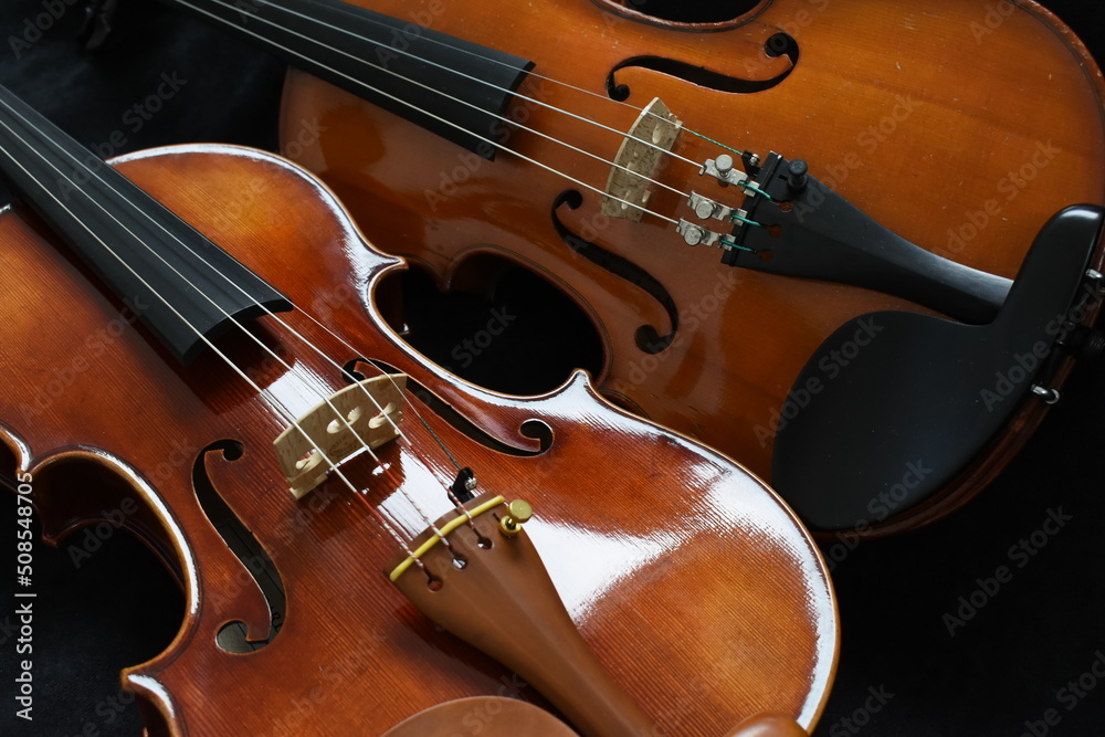 Fototapeta premium バイオリン