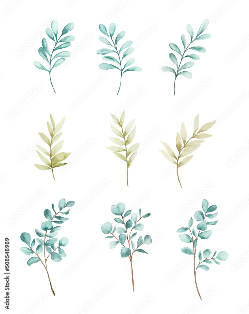 Aesthetic watercolor leaves clipart collection.
