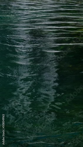 beautiful river in the nature