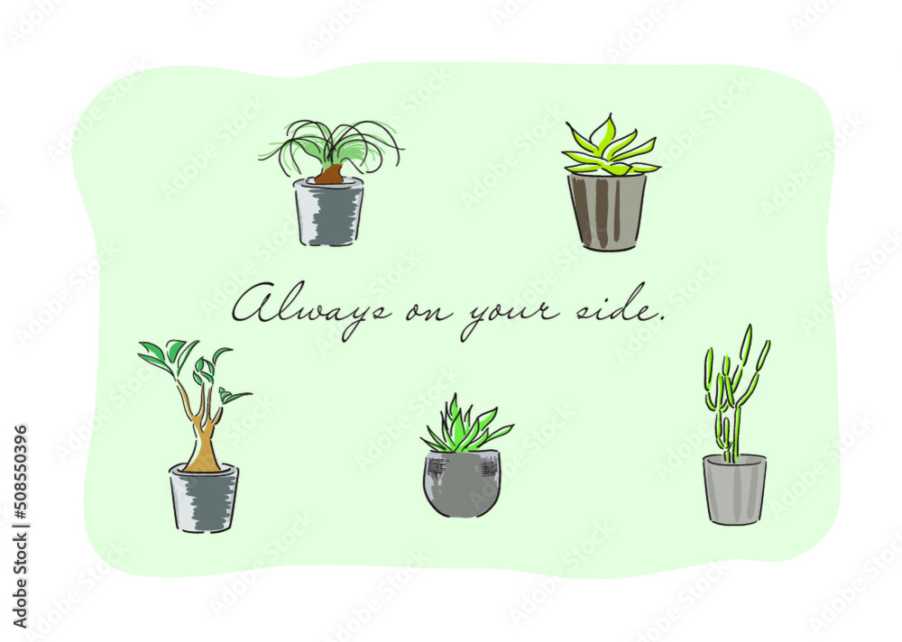 グリーン 植物 観葉植物 グリーン 植物 観葉植物