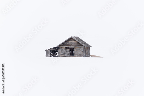 Old cabin in the middle of the snowy plains in Colorado © Shanda