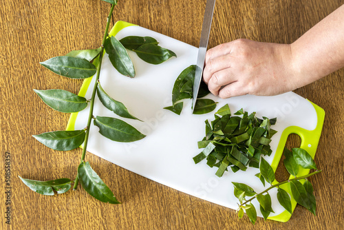 Female hands chopping ora-pro-nobis on cutting board. Pereskia aculeata is a popular vegetable in parts of Brazil photo