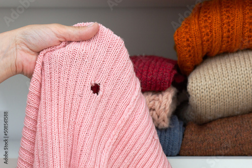 Cropped woman hand holding woolen knitted cloth with hole eaten by moth over wardrobe with stacks cloth on shelf photo