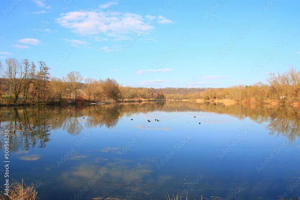 Regensburg, Germany: Tuffed ducks floating on a lake near Danube river
