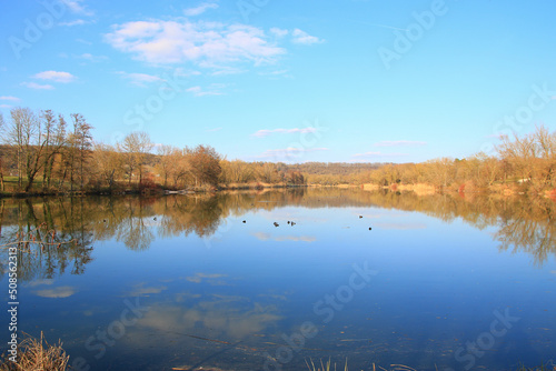 Regensburg, Germany: Tuffed ducks floating on a lake near Danube river