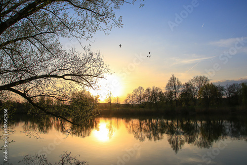 Regensburg, Germany: flying ducks against an evening landscape