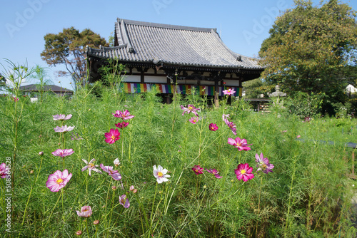 奈良の般若寺の本堂と青空