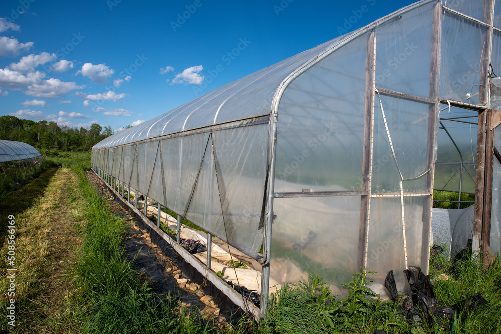 long side view of organic vegetable greenhouse in sunny farm field long side view of organic vegetable greenhouse in sunny farm field