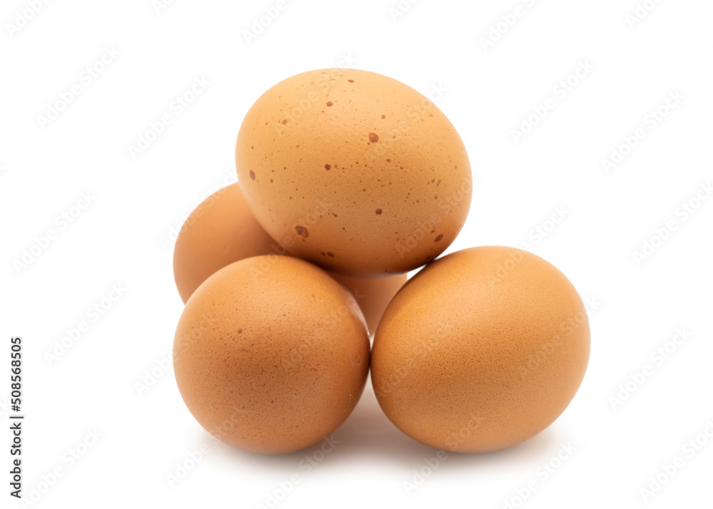 chicken eggs isolated on white background. chicken eggs isolated on white background.