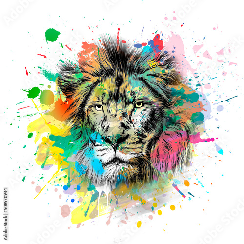 lion head with creative col...