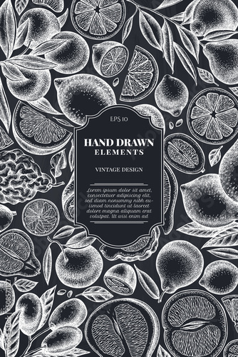 Citrus vintage card design. Hand drawn kumquat, lemon, tangelo, etc.