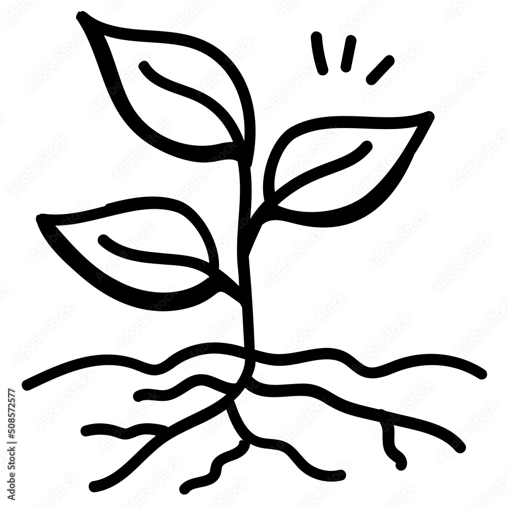 Leafy Plant Leafy Plant
