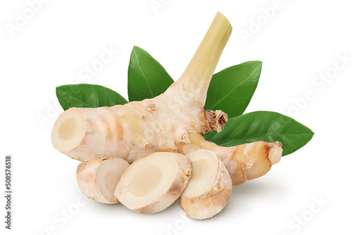 Fresh galangal root with slices isolated on white background with full depth of field. photo
