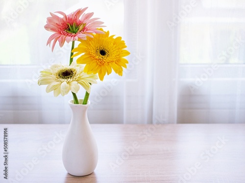 Foto Beautiful yellow Gerbera jamesonii daisy flower in vase on table Barberton Trans