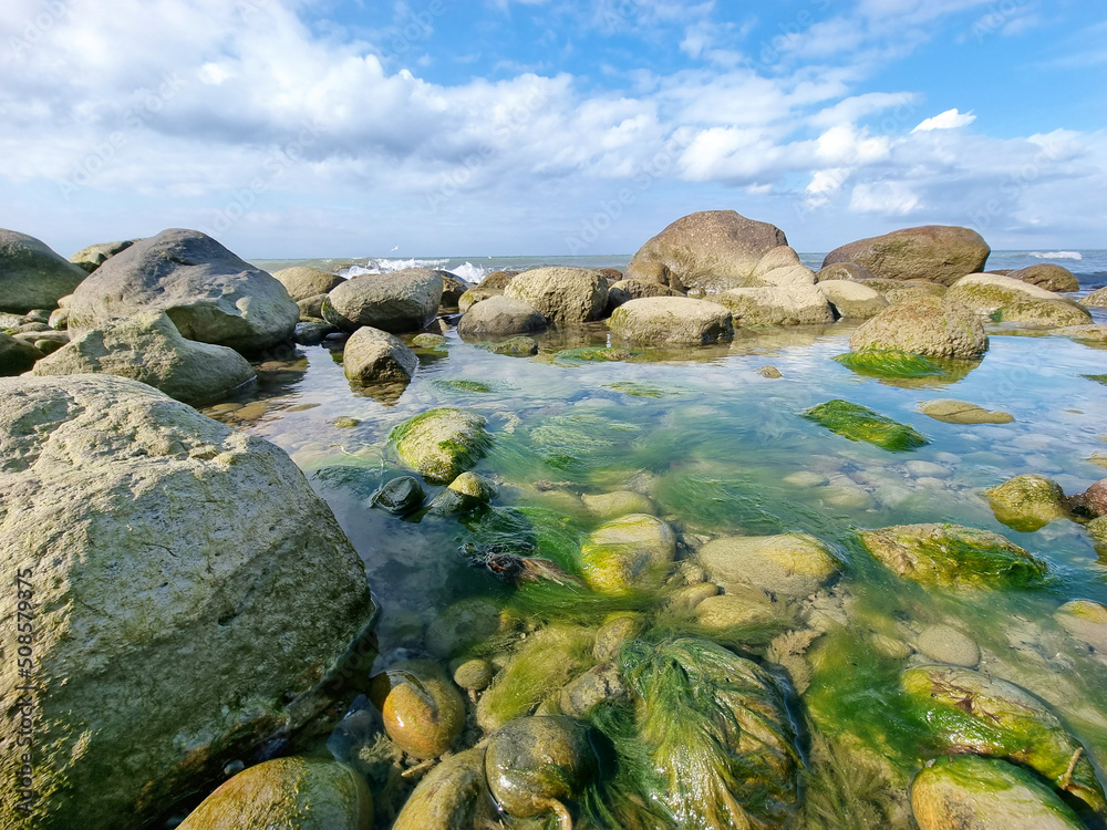 Fototapeta premium Ostseestrand mit Steinen im seichten Wasser