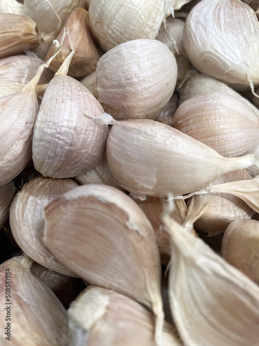 Fresh garlic closeup. Pile of garlic heads. Garlic heap. Background of garlic.