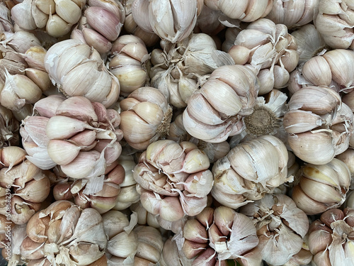 Fresh garlic closeup. Pile of garlic heads. Garlic heap. Background of garlic.