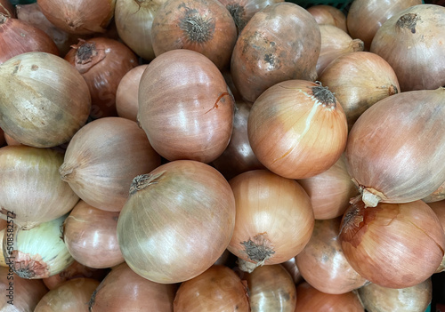 Fresh garlic closeup. Pile of garlic heads. Garlic heap. Background of garlic.