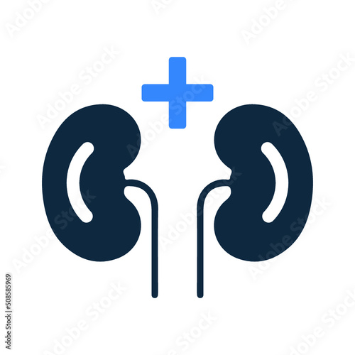 Kdneys, nephrology icon. Simple editable vector design isolated on a white background.