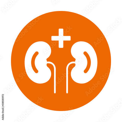 Kdneys, nephrology icon. Orange color vector EPS.