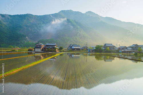 福井県　早朝・永平寺町の風景
