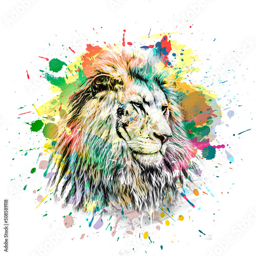 lion head with creative col...