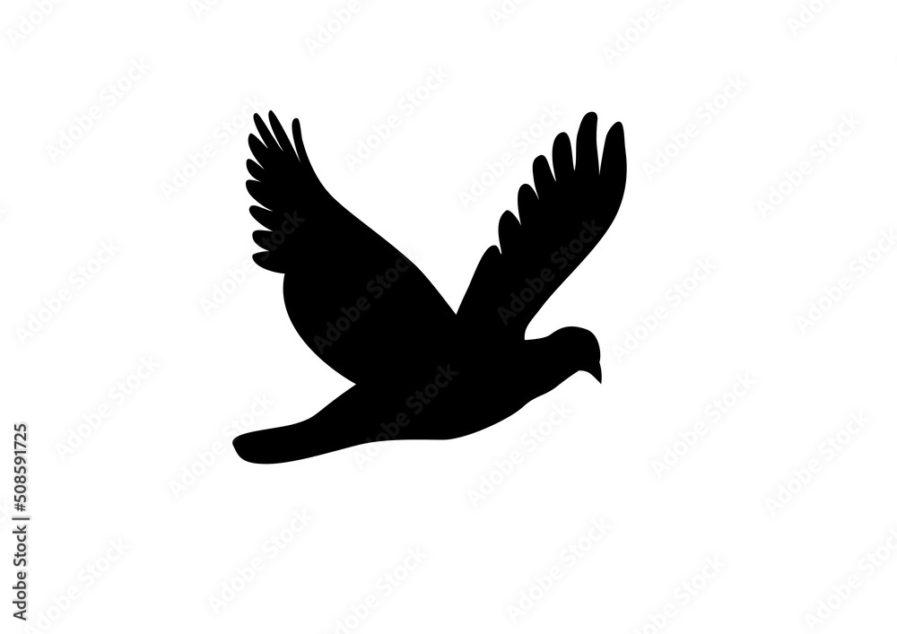 Obraz premium dove in the sky