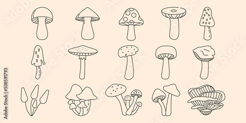 mushroom set line art logo vector symbol illustration design