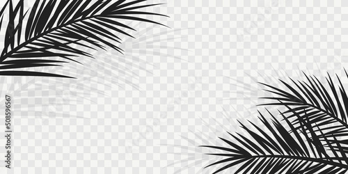 Summer tropical backgrounds with palms and transparent shadow.. Summer  poster or flyer . Summertime