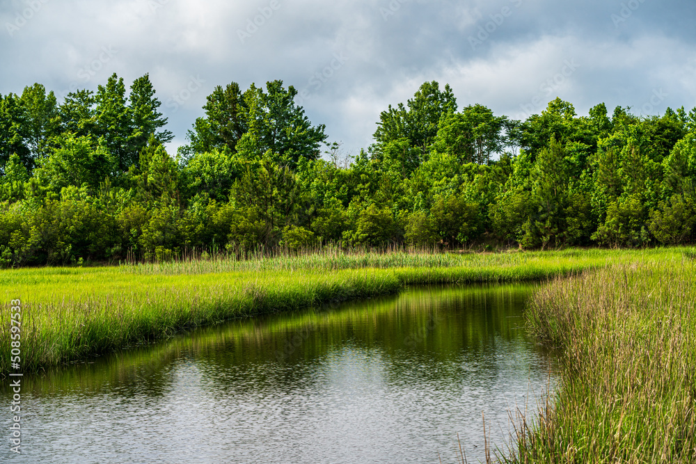 Wildlife Reserve landscape with river