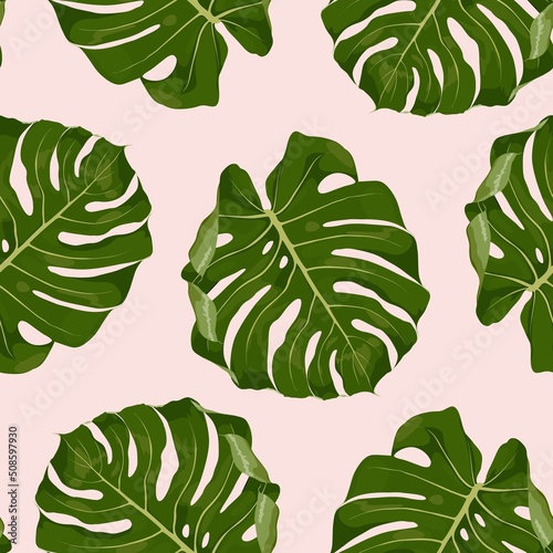 Tropical green monstera leaf illustration. Exotic seamless pattern on pink background.