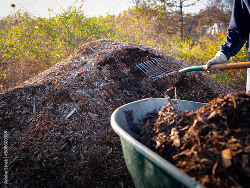 Hugelkultur no-dig raised bed photo