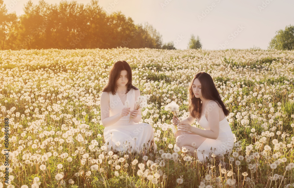 two young beautiful girls on meadow with dandelions at sunset two young beautiful girls on meadow with dandelions at sunset