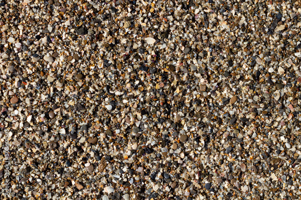 sea stone texture with many seashells. beautiful textured background. sea stone texture with many seashells. beautiful textured background.