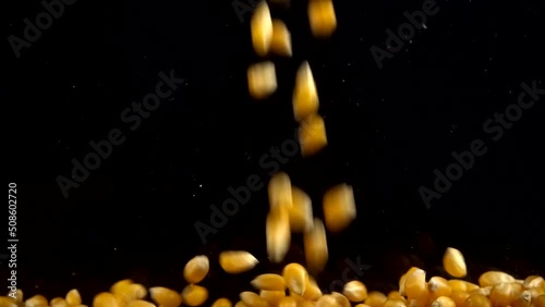 Falling popcorn mais grains on a black background.