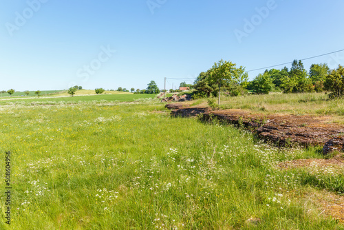 Rural landscape view with a blossoming summer meadow and a limestone cliff