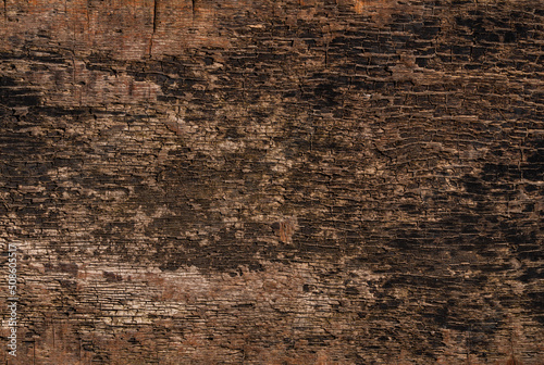 Brown wooden background, close-up wood structure