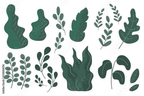 Leaves of plants collection. Leaves plants isolated on white background. Hand drawn vector. Set of plants illustration.