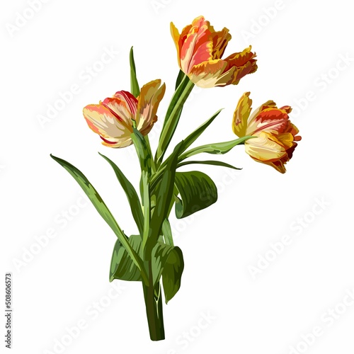 Flower Bouquet floral bunch, design object, element. Orange  Tulips flowers, rustic floral elegant wedding card. All elements editable. #508606573