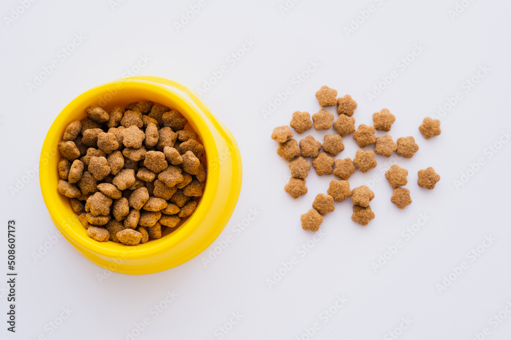 top view of dry and crunchy pet food near bowl isolated on white. top view of dry and crunchy pet food near bowl isolated on white.