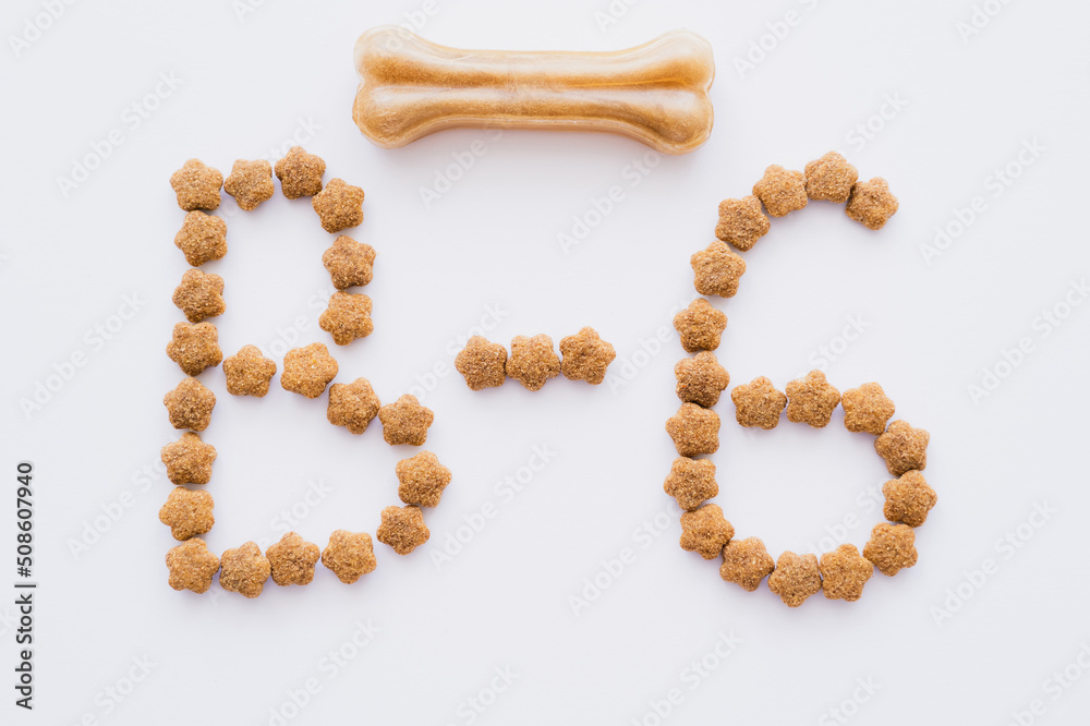 flat lay of word made of dry pet food near bone shaped pet treat isolated on white. flat lay of word made of dry pet food near bone shaped pet treat isolated on white.