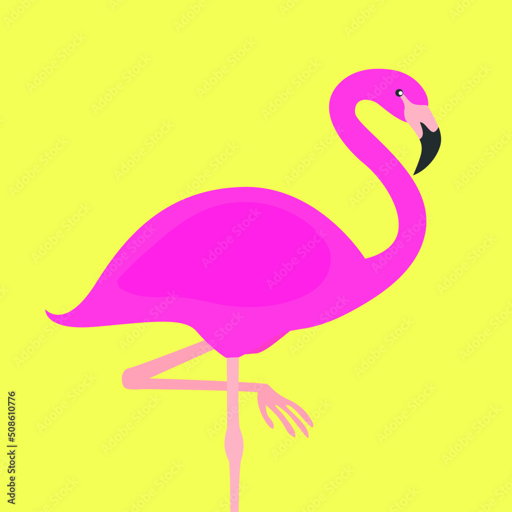 Pink flamingo stands on one paw