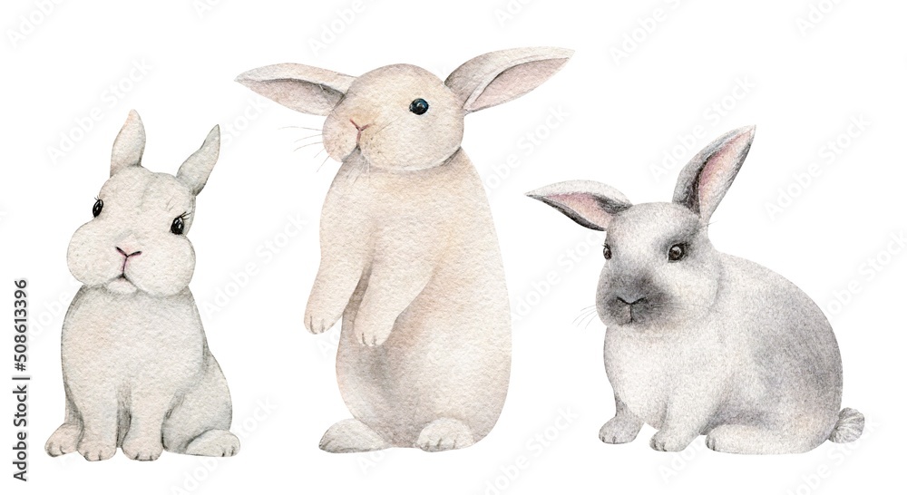 Little bunnies on an isolated white background, watercolor illustration, cute woodland animal, easter bunny, rabbits Little bunnies on an isolated white background, watercolor illustration, cute woodland animal, easter bunny, rabbits