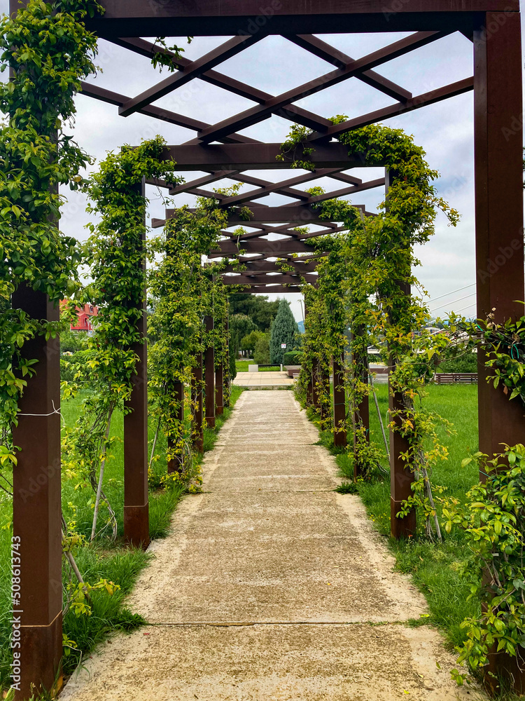 Obraz premium Corridor on the street, made of a wooden structure and a hedge. There is a concrete road near the corridor, and juicy and green grass on the sides. Clear skies above.