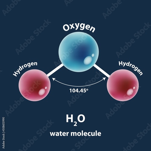 The structure of the water molecule