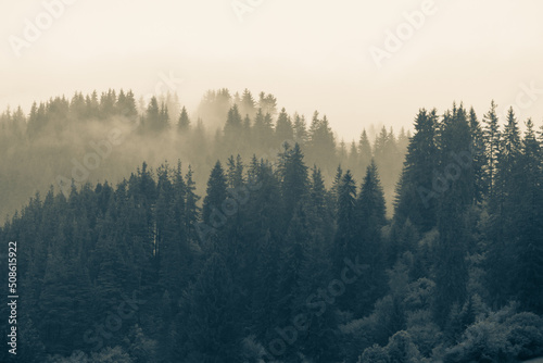 misty morning in the mountains © Hristo Shanov