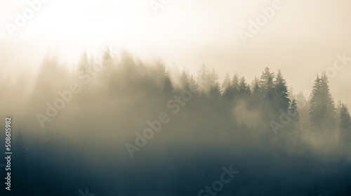 Fototapeta Naklejka Na Ścianę i Meble -  misty morning in the mountains