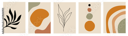 Collection of modern simple minimalistic abstractions with geometric shapes and plant leaves on a colored background