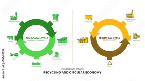 The vector infographic diagram of the difference between the circular economy and recycling has the biological cycle in consumption production and The technical cycle in-service products. for green